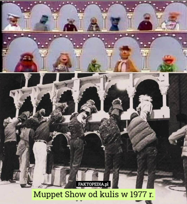 Muppet Show od kulis w 1977 r. 
