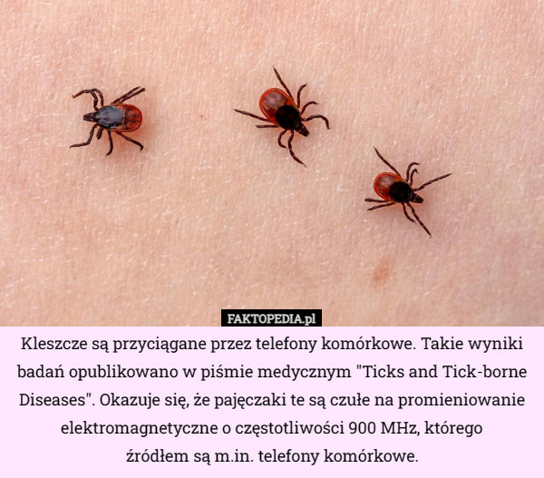 Kleszcze są przyciągane przez telefony komórkowe. Takie wyniki badań opublikowano w piśmie medycznym "Ticks and Tick-borne Diseases". Okazuje się, że pajęczaki te są czułe na promieniowanie elektromagnetyczne o częstotliwości 900 MHz, którego
 źródłem są m.in. telefony komórkowe. 